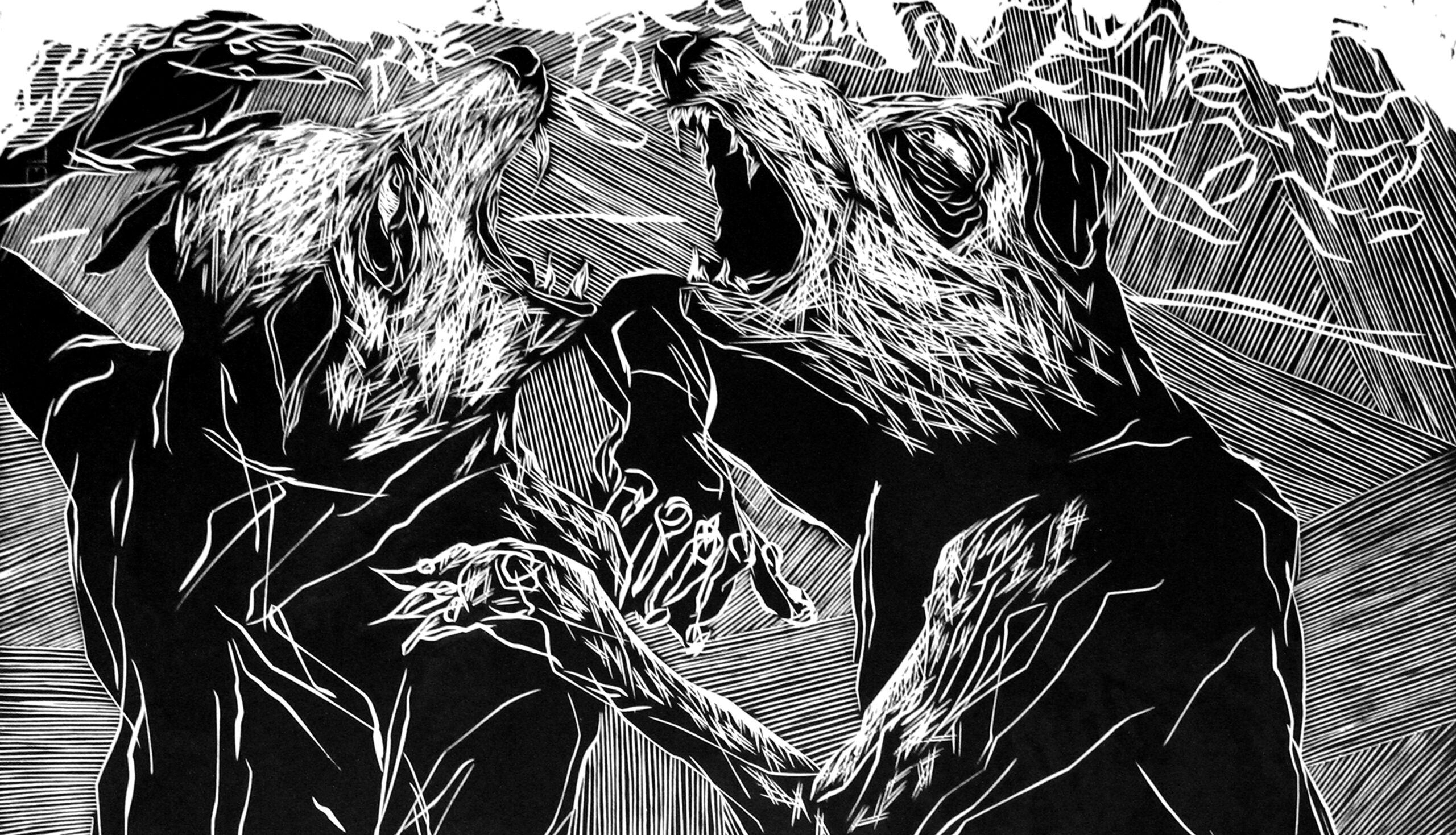 marco trentin graphic artist