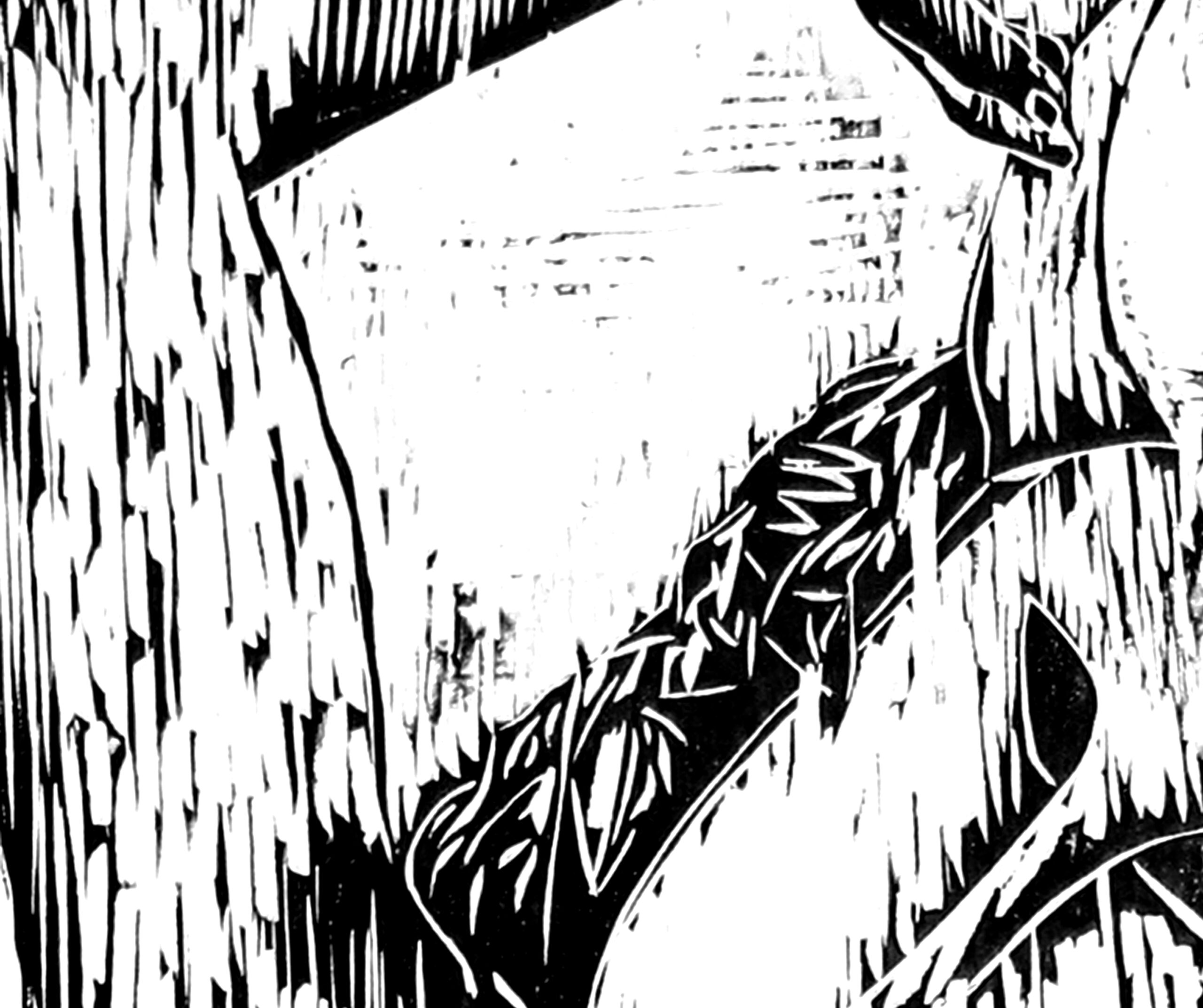 marco trentin graphic artist